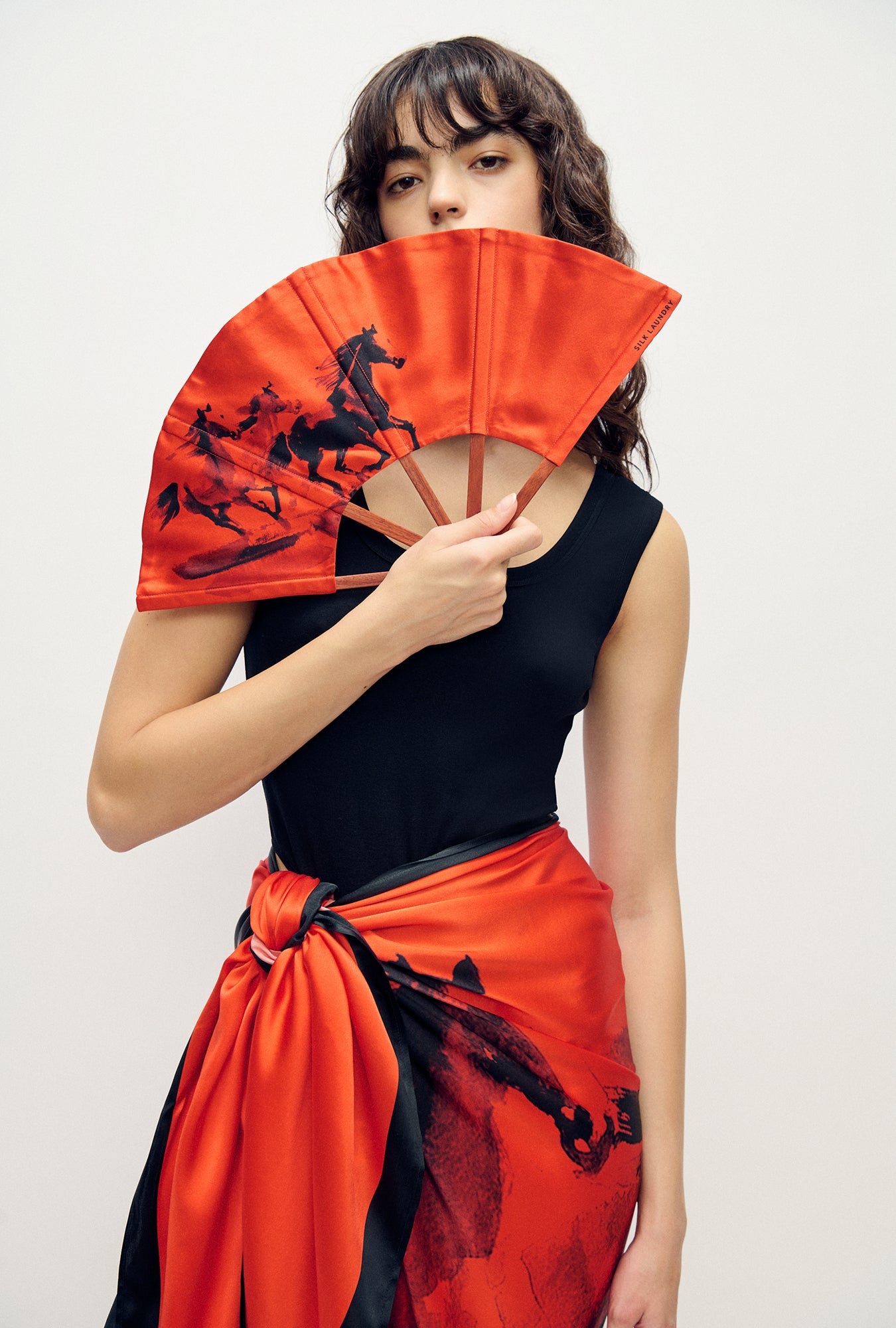 Fan Year of The Horse