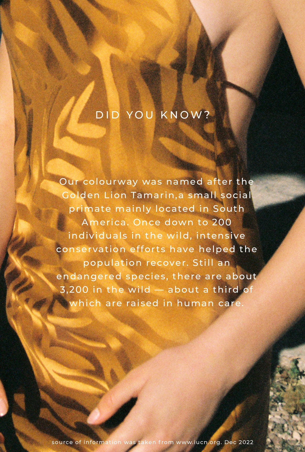 Carrie Dress Tamarin