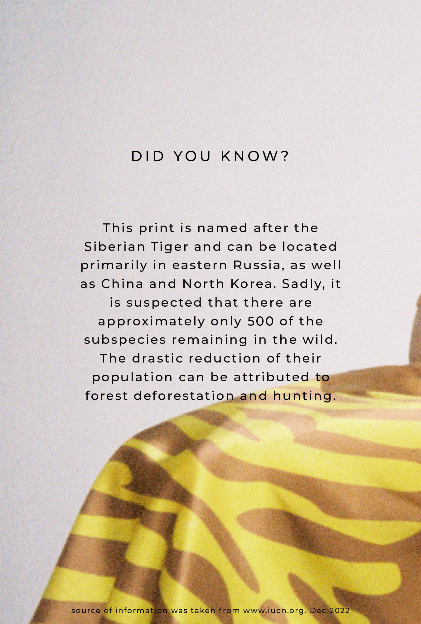 90S Slip Dress Tiger Matisse