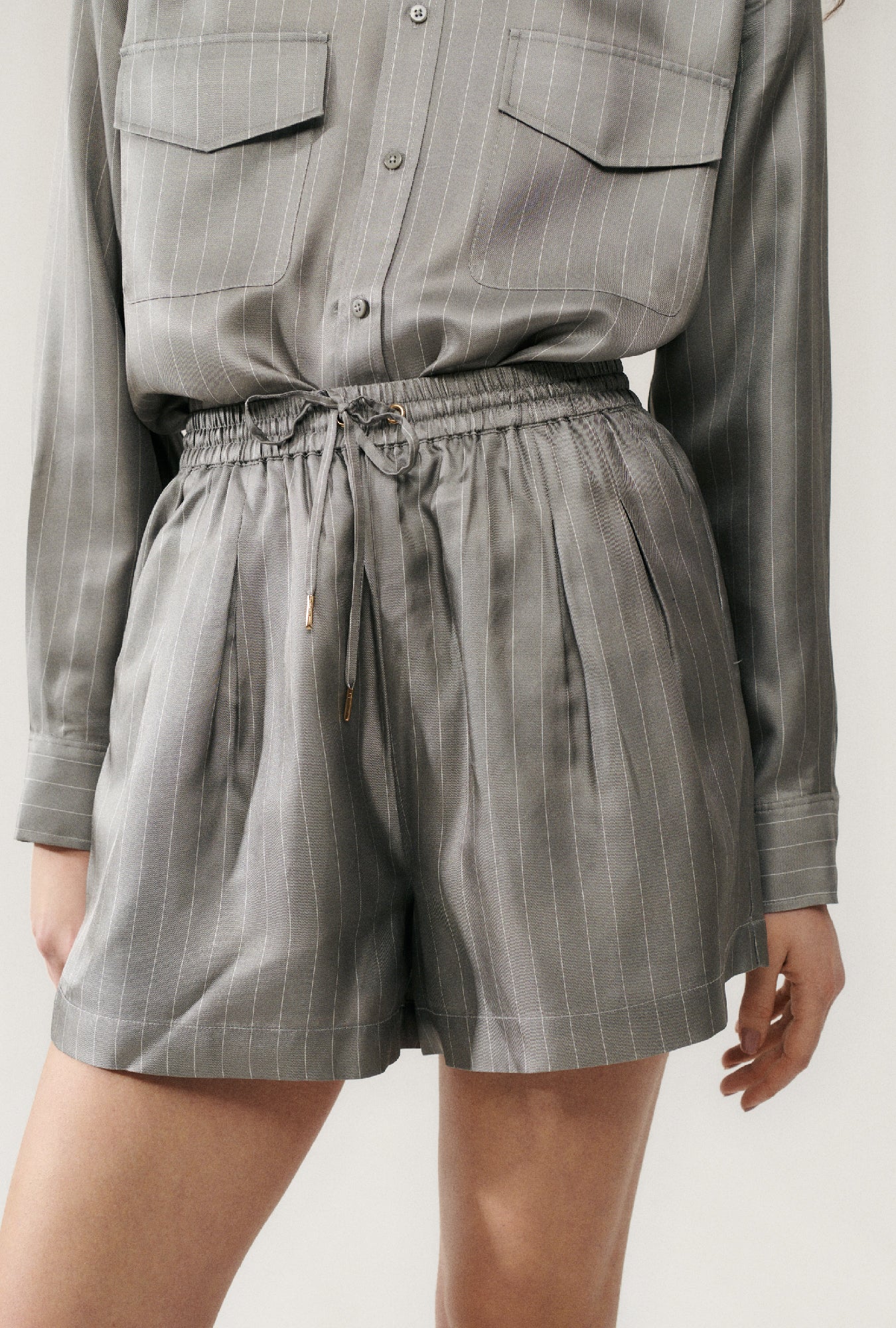 Twill Slouch Shorts Moon Pinstripe