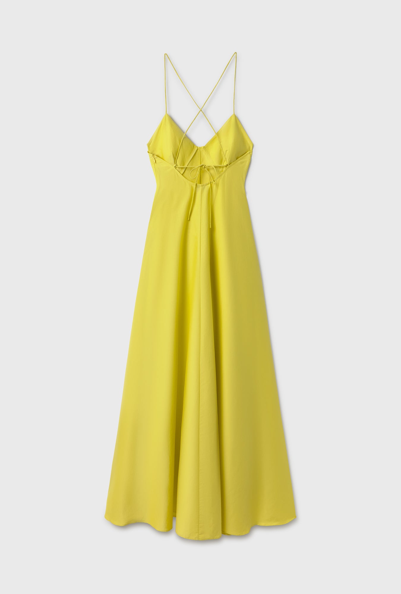 Long Maxi Dress Limelight